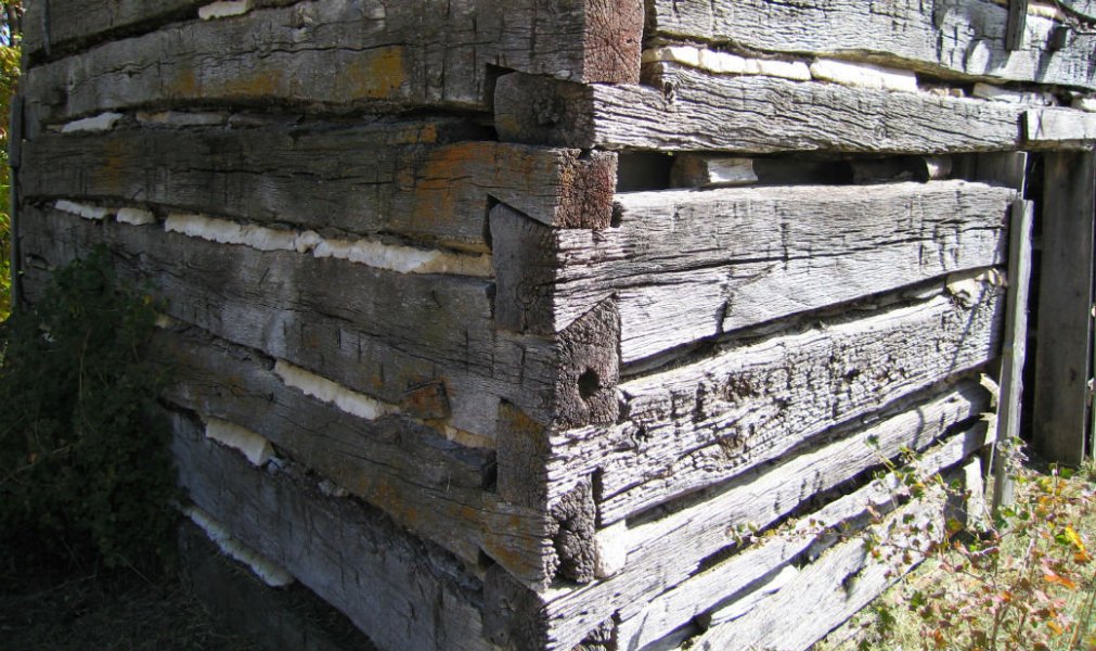 Угол канадского деревянного дома. Рубка в косую лапу